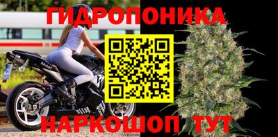 гидропоника Гусев
