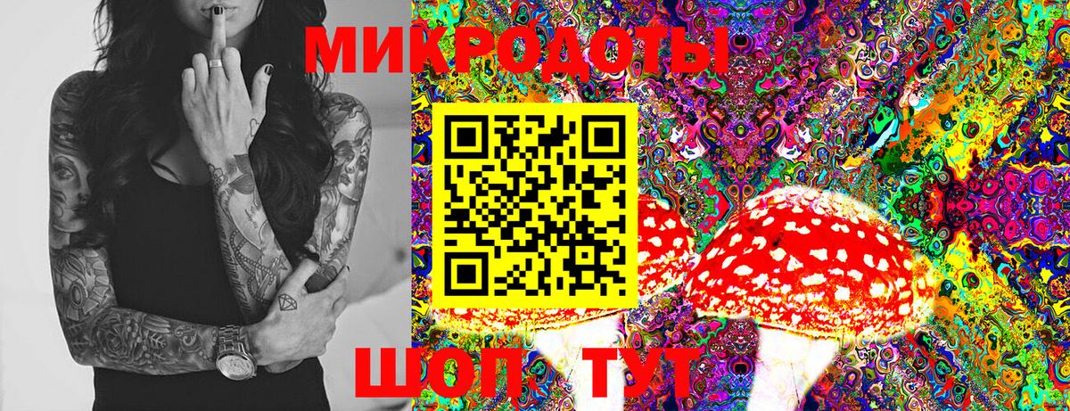 купить наркотик  Псилоцибиновые грибы ЛСД  Вход с VPN  Псилоцибиновые грибы MAGIC MUSHROOMS  Нововоронеж 